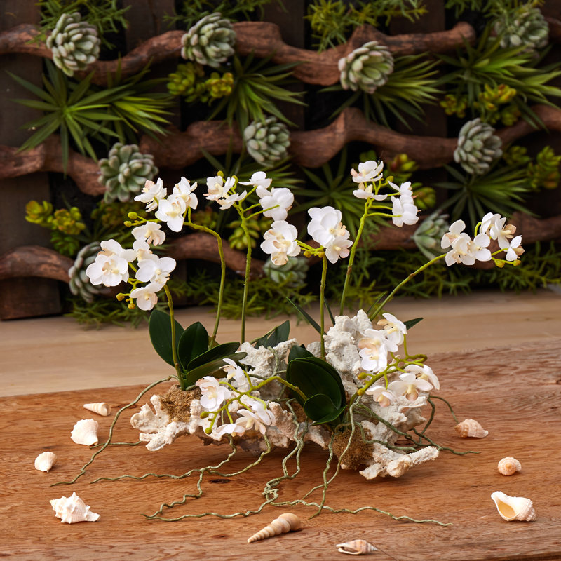 Mini arrangement floral d'orchidées phalaenopsis