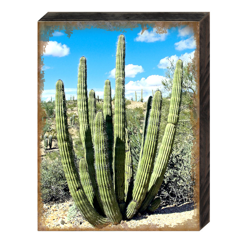 Bloc de bois cactus Kennerdell, H 9 po x l 12 po x P 1 po