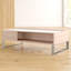 Ayala Lift Top Frame Coffee Table with Storage-22062316