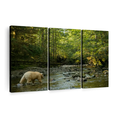 «Spirit Bear In Hartley Bay», 3 pièces