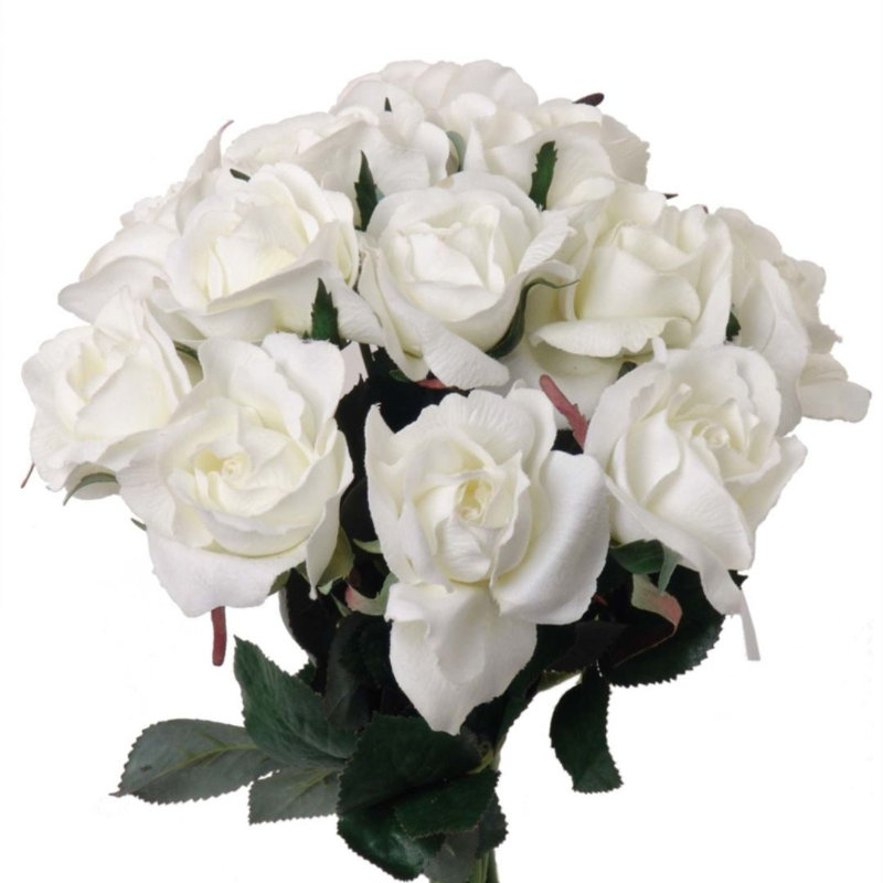 Belden Roses