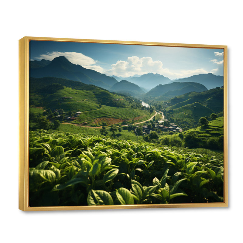Plantation de thé thaïlandais, Cadre flottant doré, H 12 po x l 20 po x P 1 po