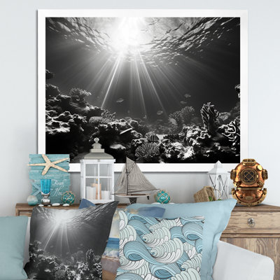 Photo sous-marine en corail noir et blanc - Art mural corail sous l'eau