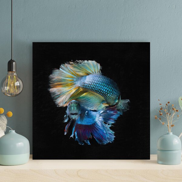 Red and Blue Betta Fish - Wrapped Canvas Painting Rosecliff Heights Size: 12 H x 12 W