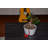 Metal Ring Holder + Figurine Included-1913425599