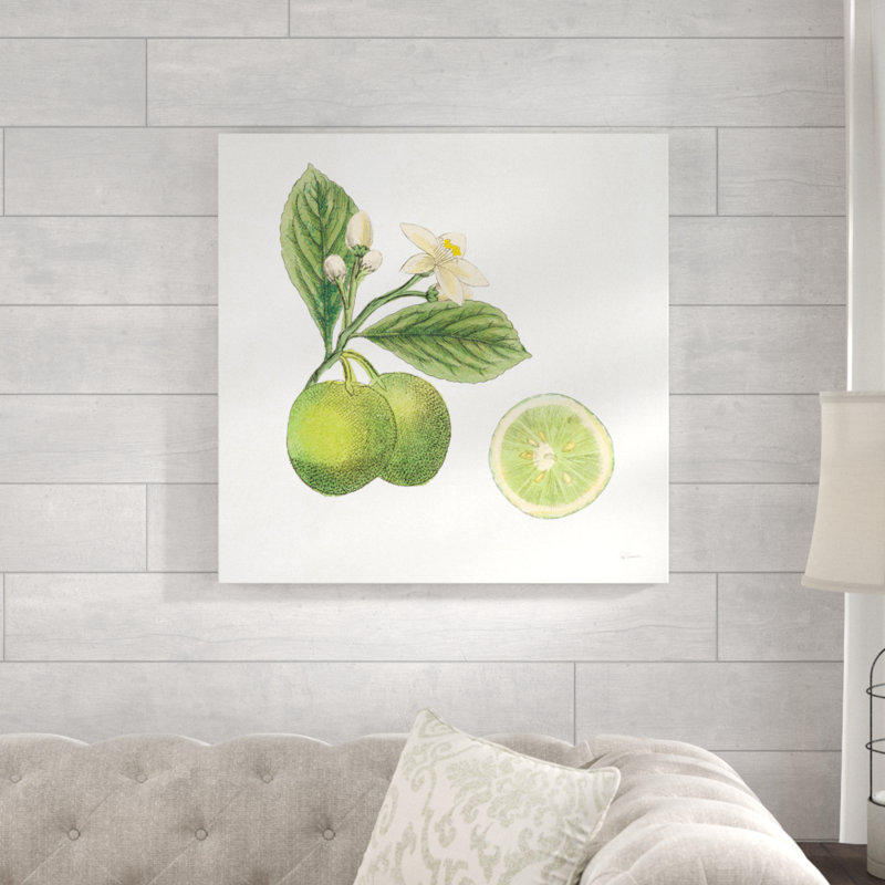 Classic Citrus III 1 Piece Wrapped Canvas Wall Art, 76cm H x 76cm W