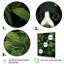 Panda vert ludique vert II - art mural animal panda-1771916263-1684560989