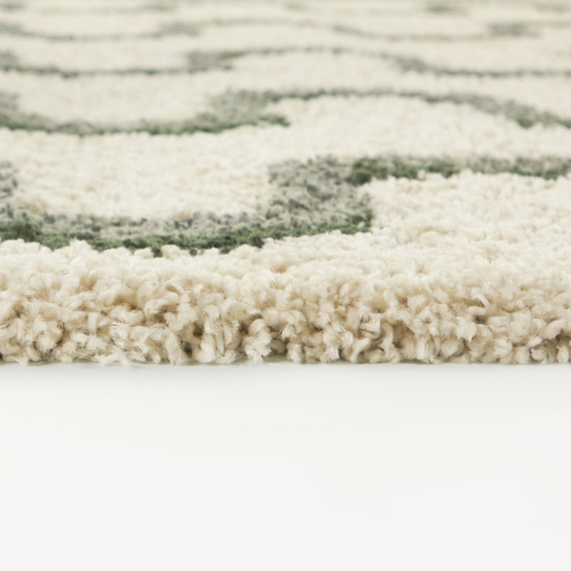 Boreas Green/Blue Squiggle Stripe Area Rug, Rectangle 5'3" x 7'