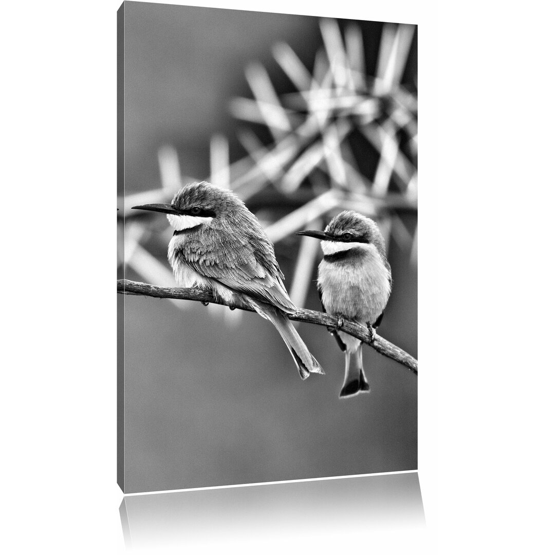 Leinwandbild Farbenfrohe exotische Vögel auf Ast in Monochrom