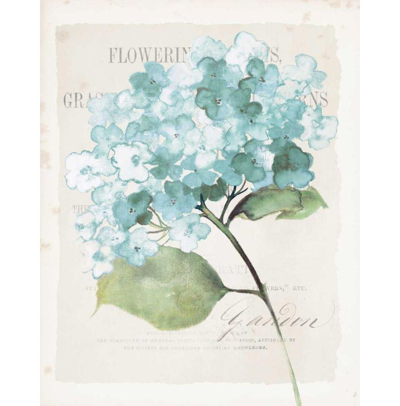 Art sur toile tendue avec une galerie «One Apple Way» par Allium Way®, H 45 po x l 36 po