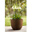 Plant Pot-72816990-72816986