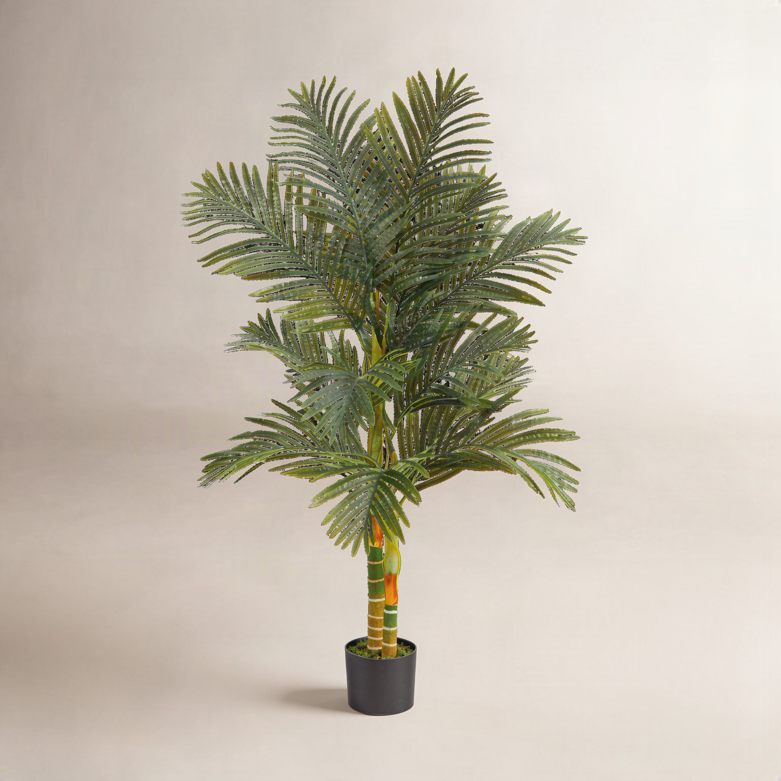 Palm Tree in Planter, 60" H x 24" W x 24" D