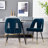 Hecht Fabric Upholstered Dining Chairs-113137416