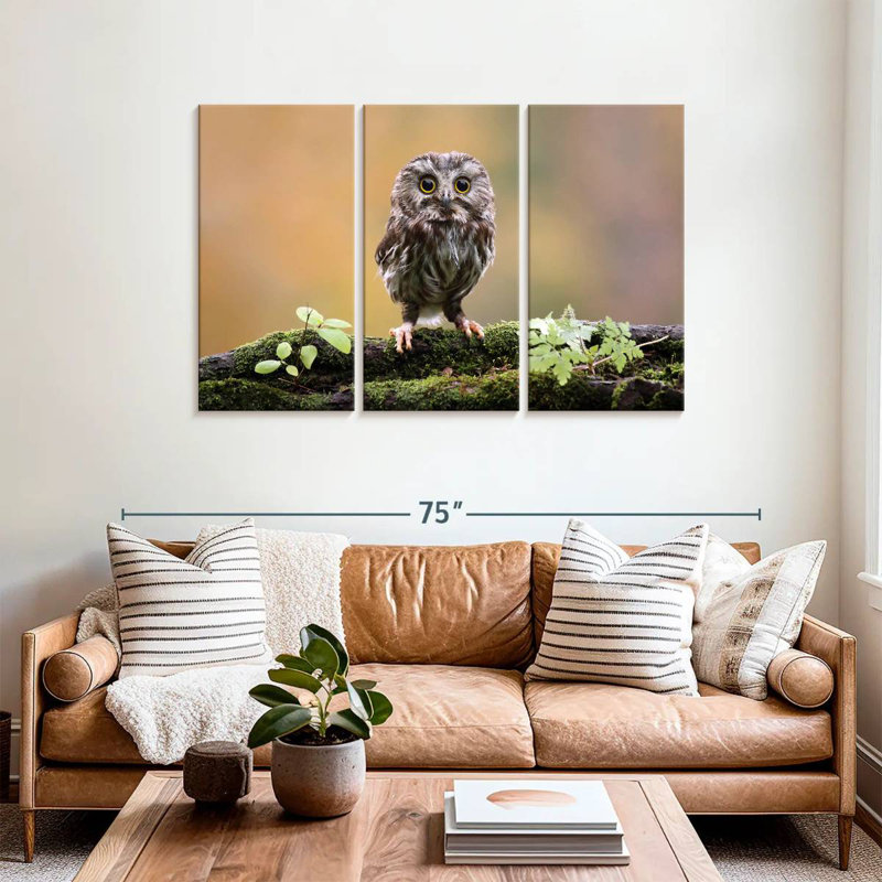 Brampt Charming Little Owl, 36" H x 57" W