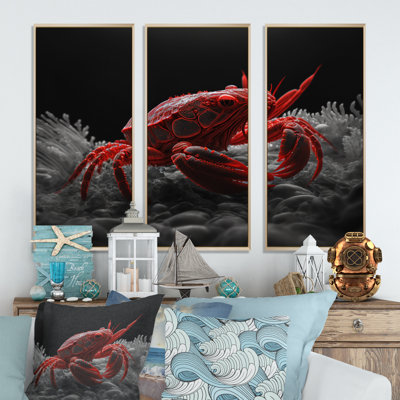 " Red Deepsea Crab in Red and Black VI " 3 Piece Art Color Photography Print