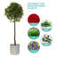 Aben Pot Planter-1836459497