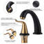 2-handle Bathroom Faucet with Drain Assembly-92930584