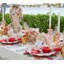 Coral Spray Placemat