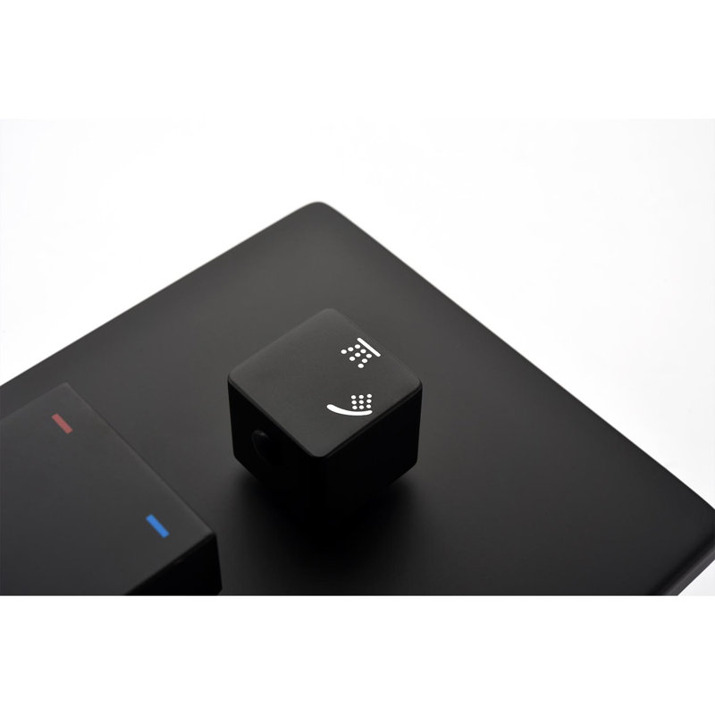 Pomme de douche double, Noir mat
