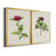 «Pretty Pink Botanicals II», ensemble de 2 impressions sur toile encadrées-1800022737-1800022747