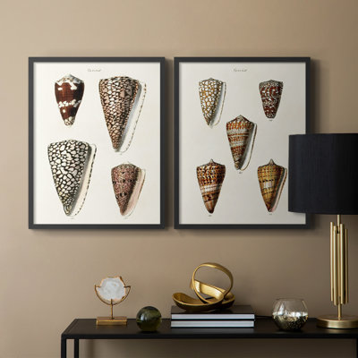 Impression encadrée de qualité supérieure Cone Shell - prêt à être accroché - aucun clou requis - aucun clou requis