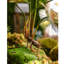 Plante artificielle 19,6 po