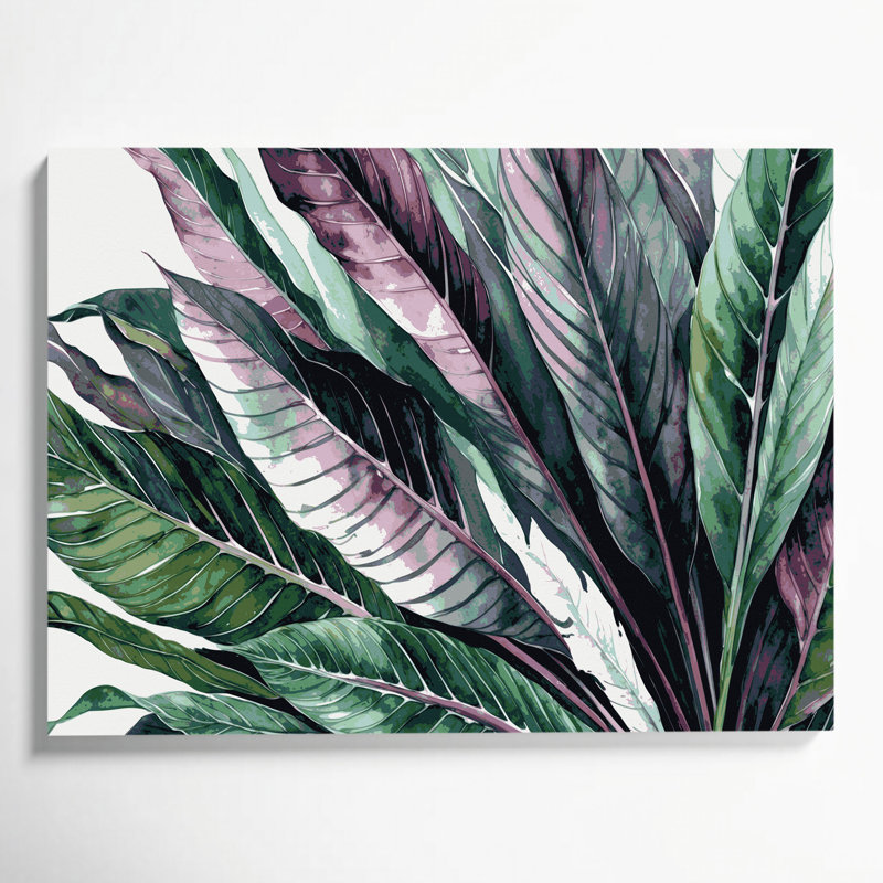 Art mural sur toile Botanical Calathea, H 24 po x l 36 po