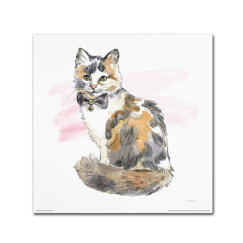 « original chats ii aquarelle », reproduction sur toile tendue, H 14 po x l 14 po
