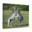 Wall Art on Canvas-845306834