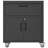 29.5'' W Metal Garage Tool Storage Cabinet on Wheels with 1 Drawer,Black