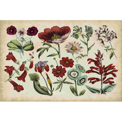 Tableau botanique antique I