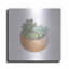 «Succulent Planter II» par Heidi Kuntz-843051369