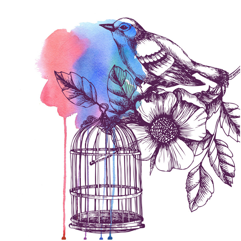Coppell Bird, Cage And Flower - Wrapped Canvas Painting, 30cm H x 30cm W x 3.8cm D
