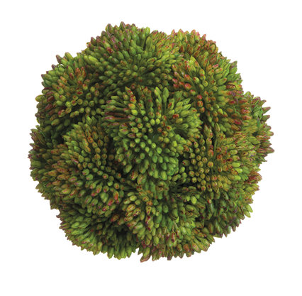 Faux Floral Arrangement, Green