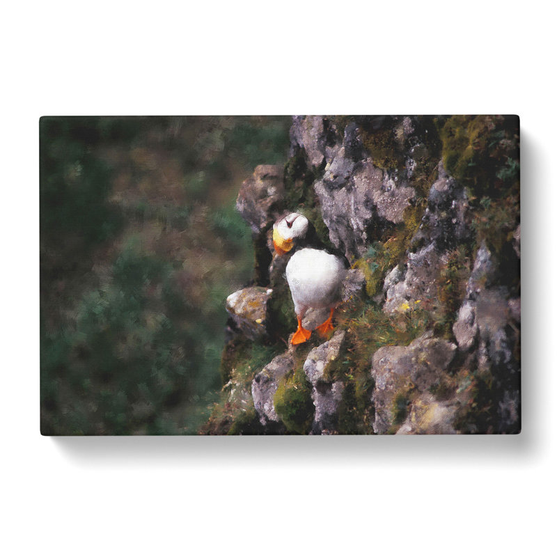 Atlantic Puffin Birds Vol.1 - Wrapped Canvas Painting, 35cm H x 50cm W x 3cm D