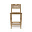Altavista Outdoor Teak Bar Stool