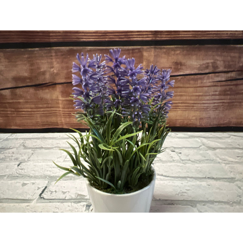 Lavender Arrangement in Pot