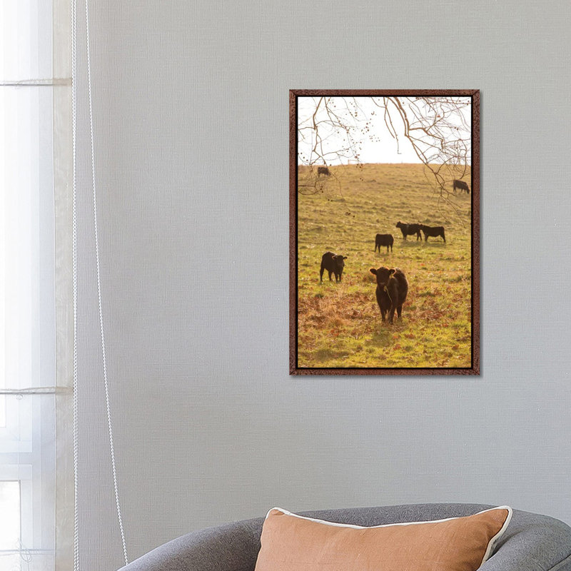 Fall Field II by Aledanda - Print on Canvas, Classic Brown Wood Framed, 66.04cm H x 45.72cm W x 3.81cm D
