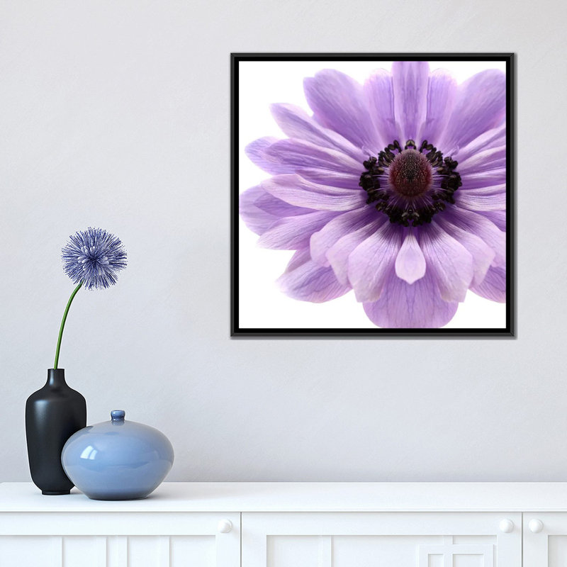 Impression sur toile pâle lilas anemone, H 18 po x l 18 po x P 1,5 po, Toile avec cadre noir, Pas de tapis