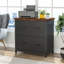 78cm Wide 2 -Drawer File Cabinet-1162867469