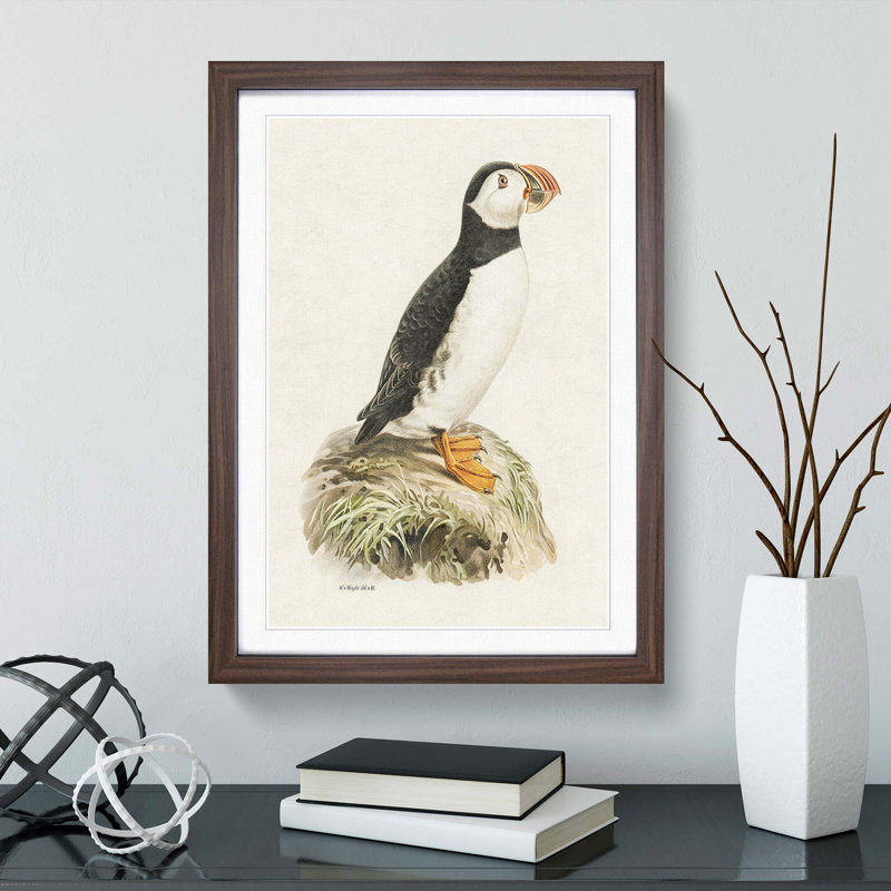 Atlantic Puffin by Von Wright - Framed Print, 33cm H x 24cm W x 2cm D, Walnut Framed