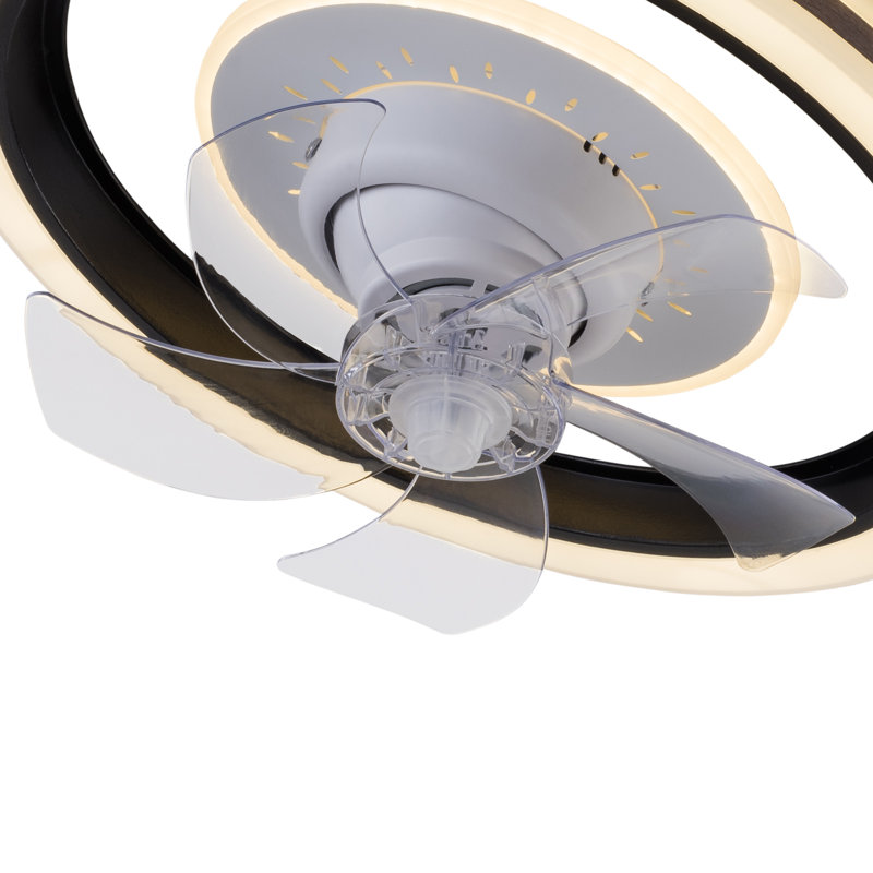 Diany 18.5'' Ceiling Fan with LED Lights