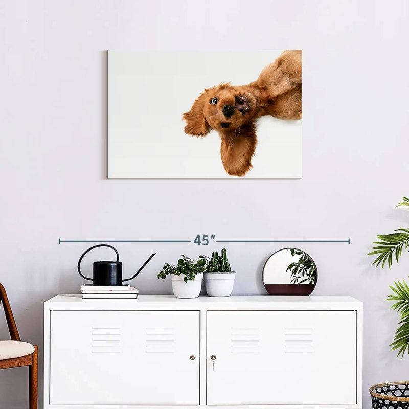 Brampt Happy Cocker Spaniel Puppy, 20" H x 30" W