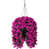 Fuchsia est en rupture de stock