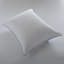 Oreiller en duvet blanc antiallergique, certifié RDS, technologie MicronOne, canapé-lit latéral / ferme-141618300