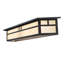 2 - Light Vanity Light