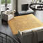 Azerbaijan Hand Knotted Wool Oriental Area Rug in L. Gray/Beige-20138396