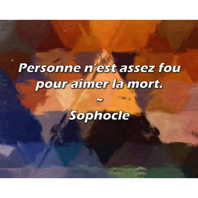 Citation de Sophocle: Personne n’est assez fou pour aimer la mort., H 20 po x l 24 po