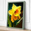 Daffodil with Dewdrops Botanical 1 Piece Wrapped Canvas Wall Art-2146868930-2146868928
