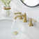 Widespread 2-handle Bathroom Faucet with Drain Assembly